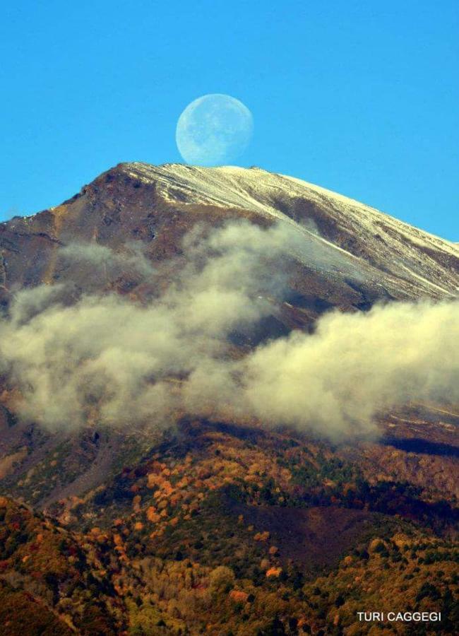 Guest House Le Ginestre Dell'Etna ベルパッソ エクステリア 写真